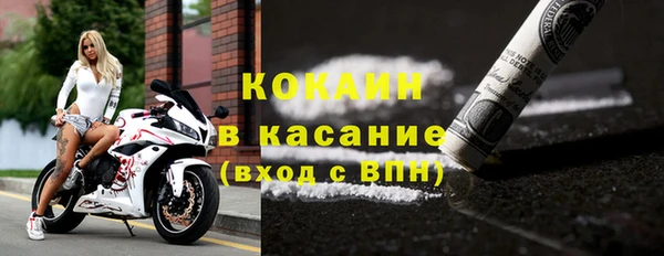 шишки Куйбышев