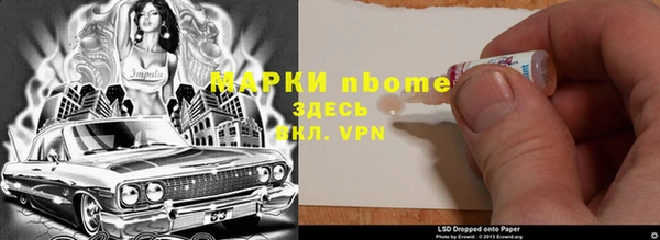 прущие грибы Кулебаки