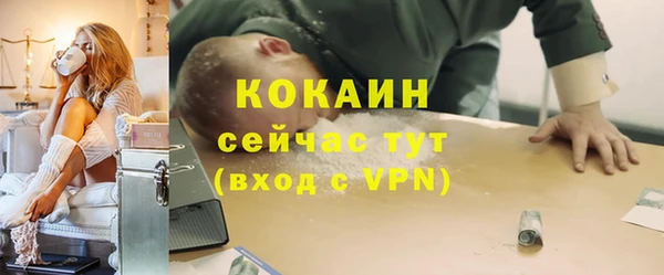 прущие грибы Кулебаки