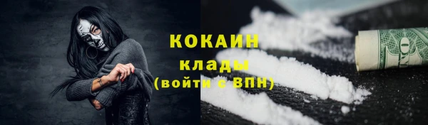 шишки Куйбышев