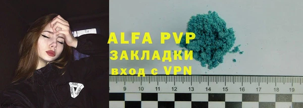 прущие грибы Кулебаки