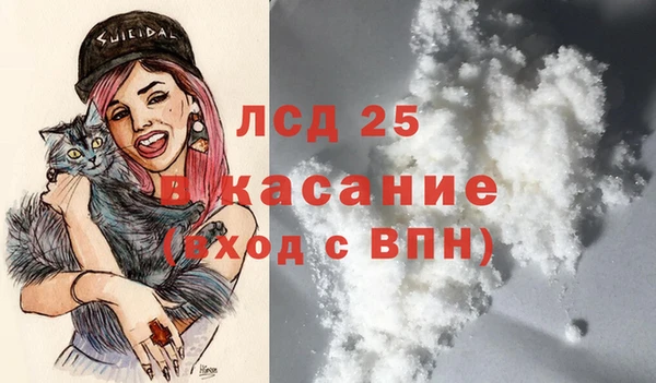 амф Кукмор