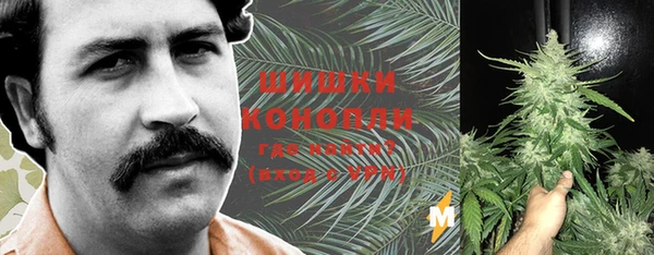 шишки Куйбышев