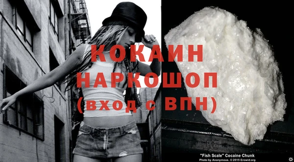 шишки Куйбышев